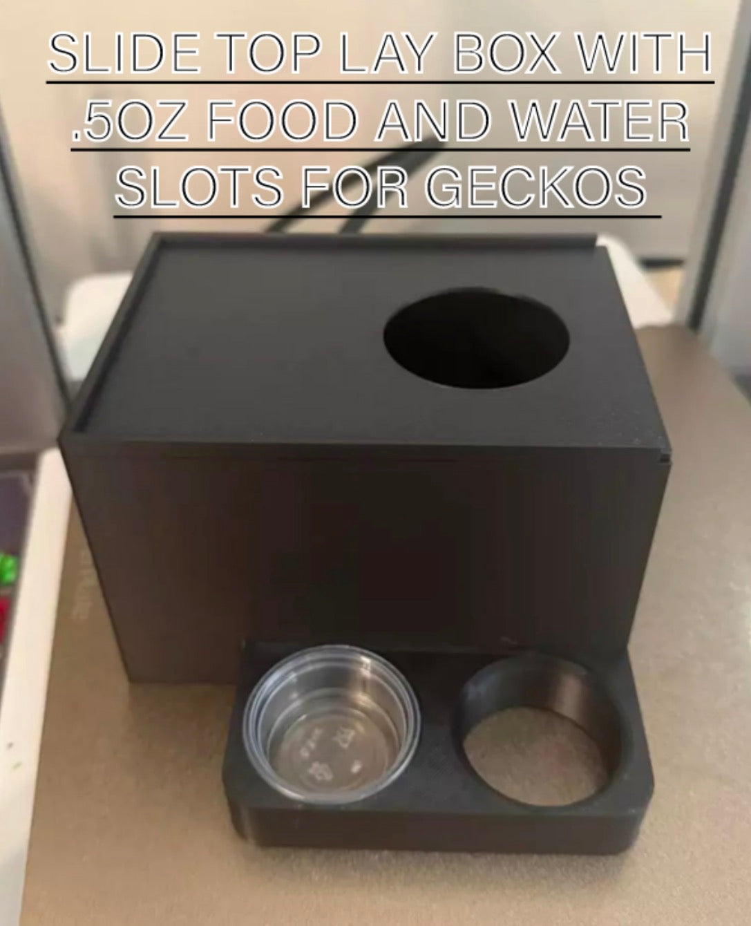 Slide Top Lay Box with 0.5OZ Food and Water Station for Geckos