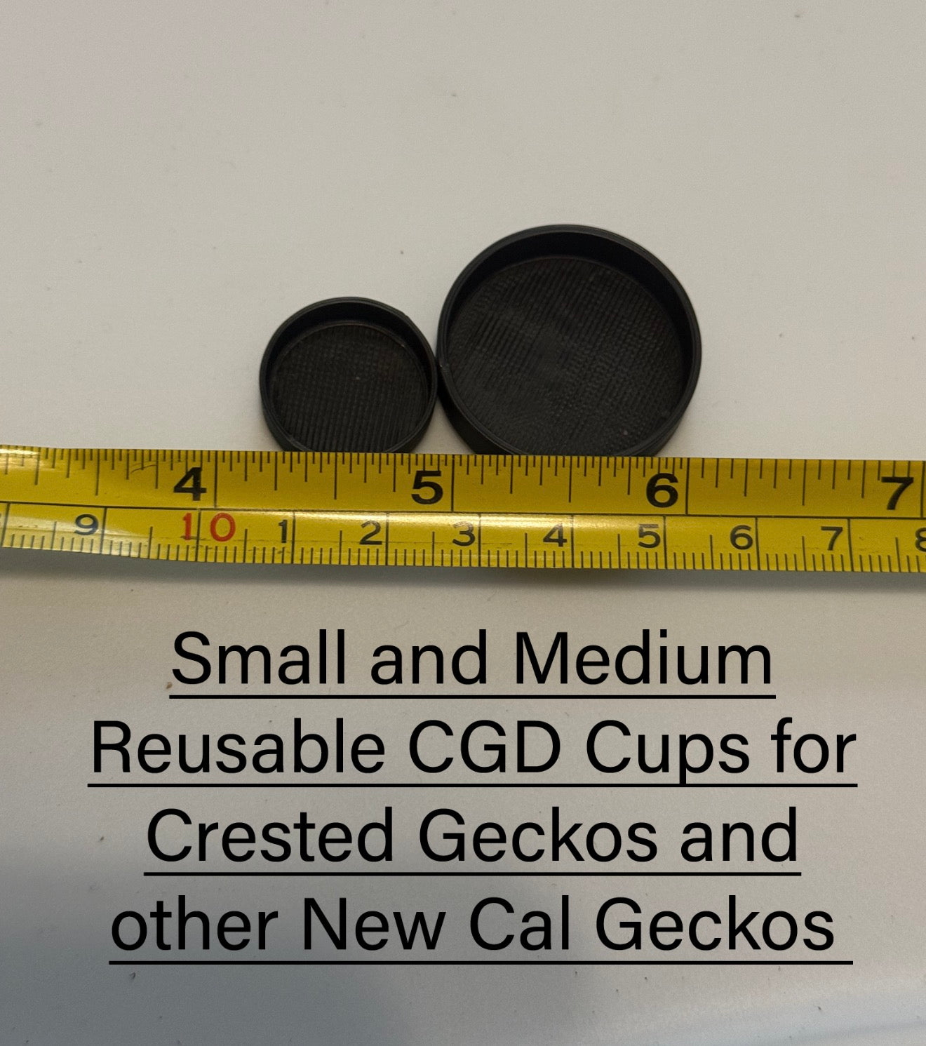 Small and Medium Reuseable CGD Cups for Crested Geckos and New Cal Geckos